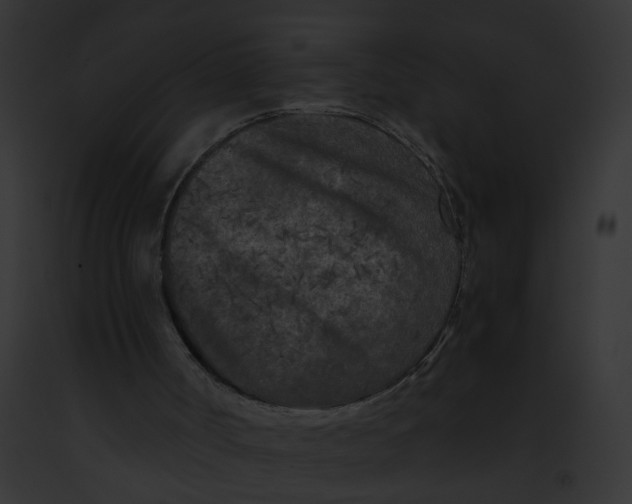 X0000091880002200710031130