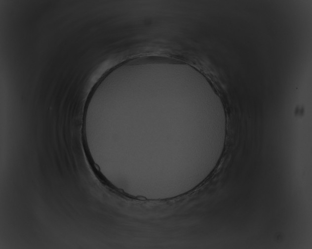 X0000091880003200710031130