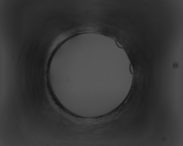 X0000091880006200710031130