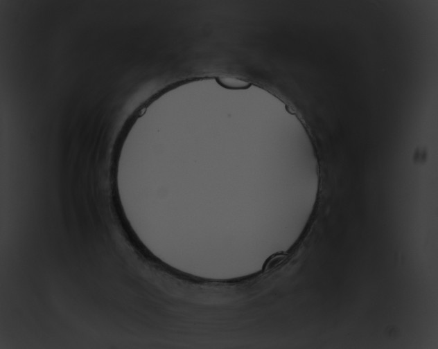 X0000091880008200710031130