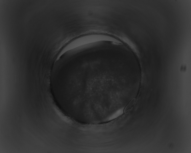 X0000091880009200710031130