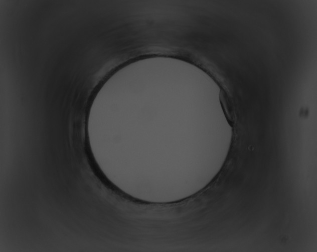 X0000091880011200710031130