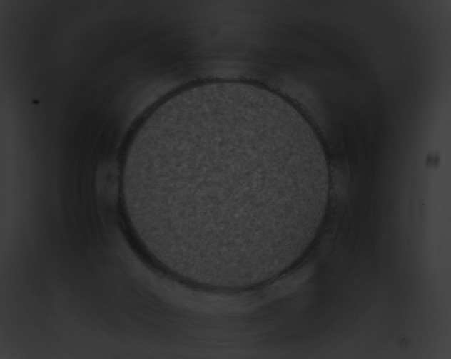 X0000091880016200710031130