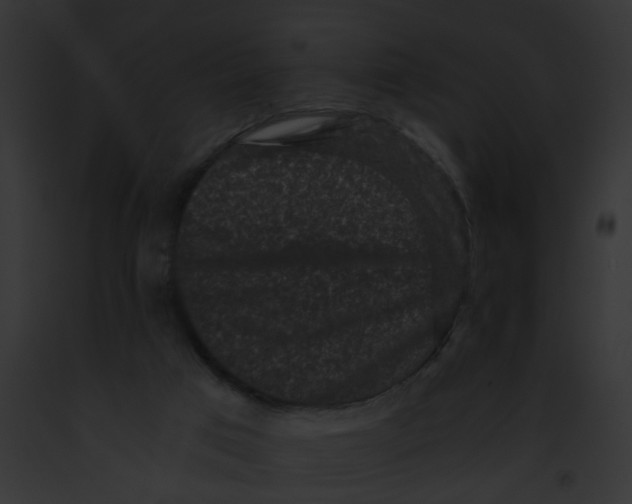 X0000091880017200710031130