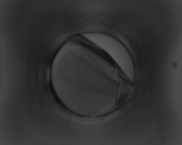 X0000091880019200710031130