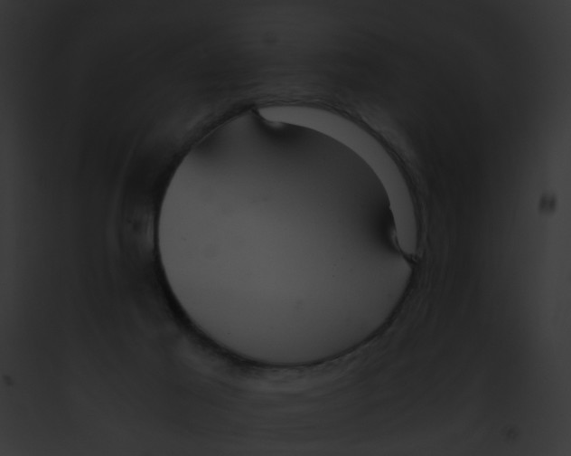 X0000091880021200710031130