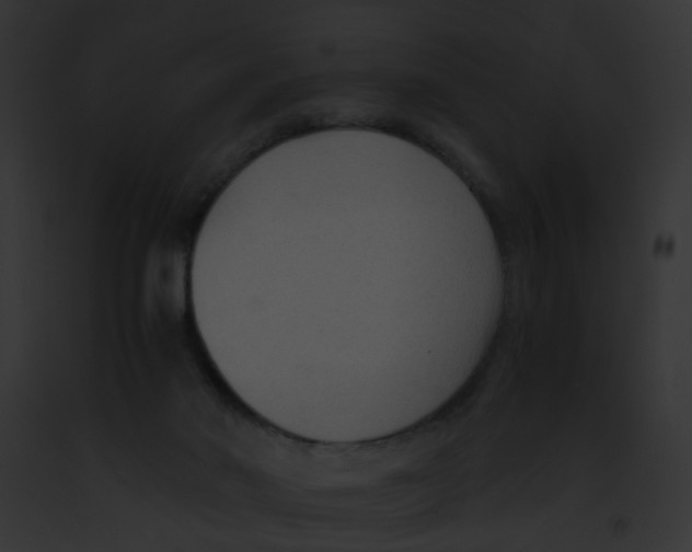 X0000091880022200710031130