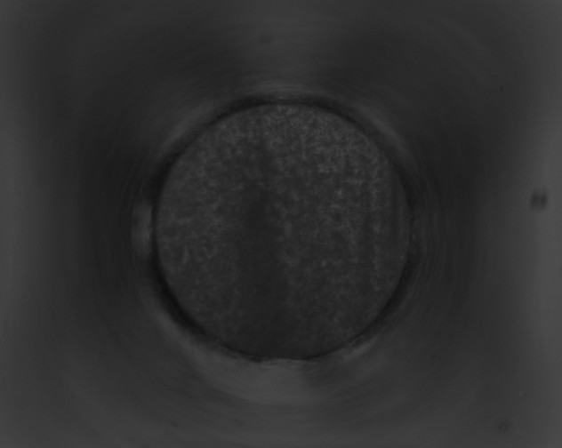 X0000091880024200710031130