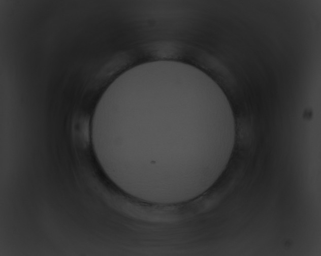 X0000091880028200710031130