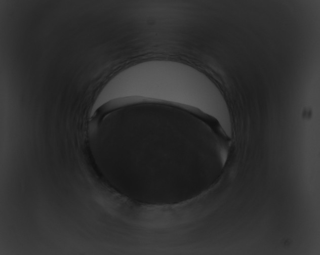 X0000091880029200710031130