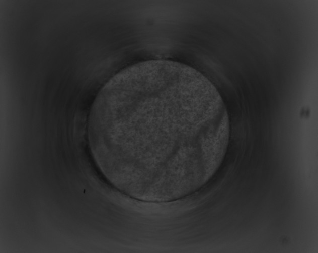 X0000091880030200710031130