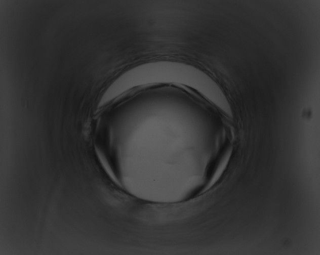 X0000091880033200710031130