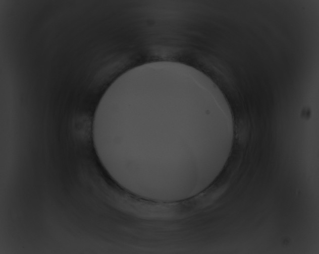 X0000091880036200710031130