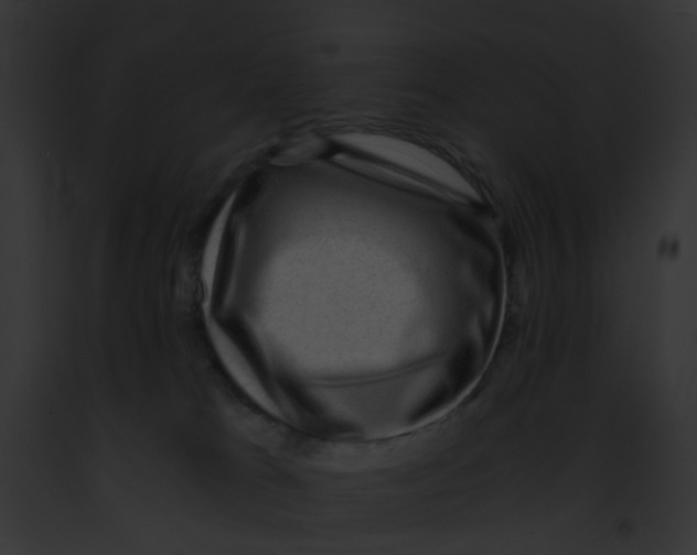 X0000091880037200710031130