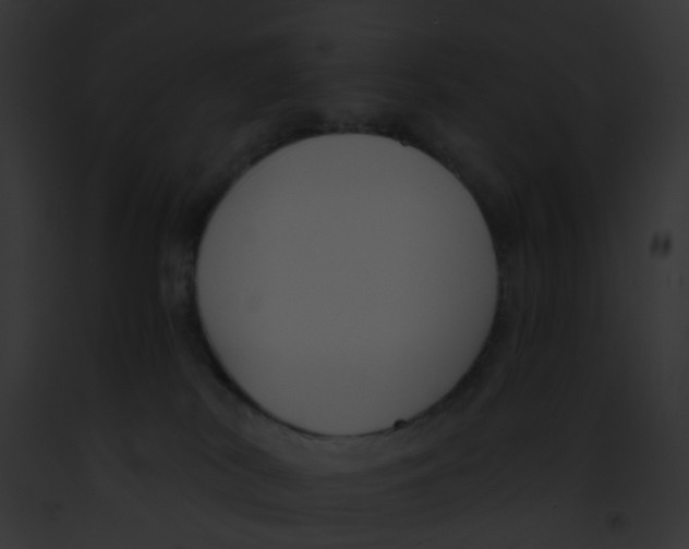 X0000091880038200710031130