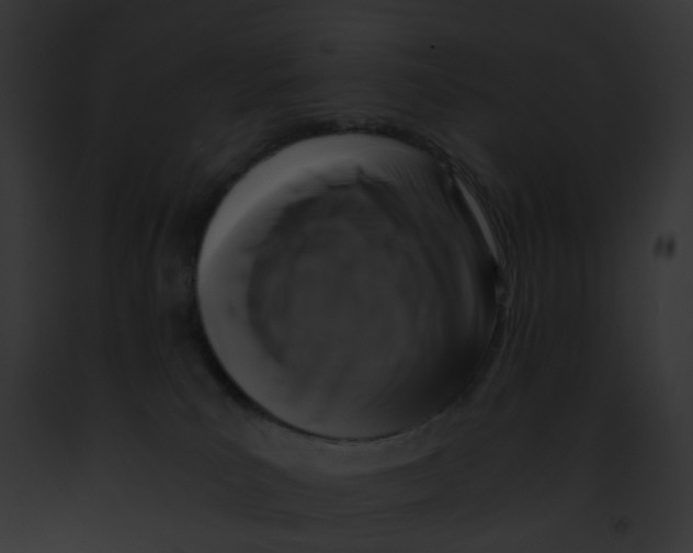 X0000091880039200710031130