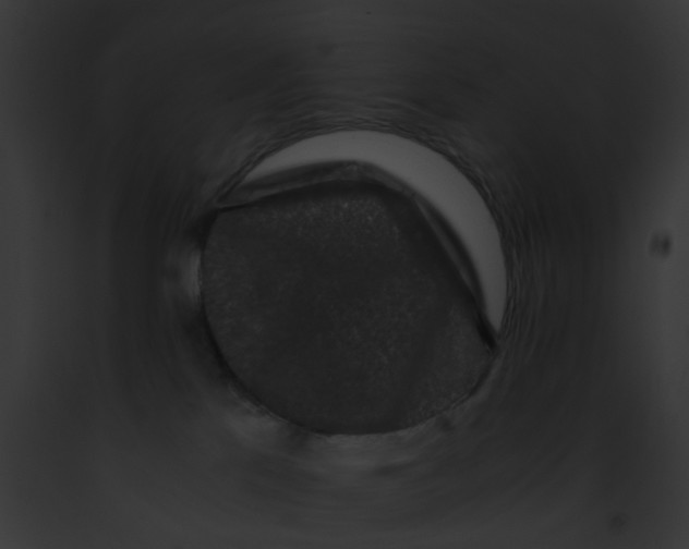 X0000091880041200710031130