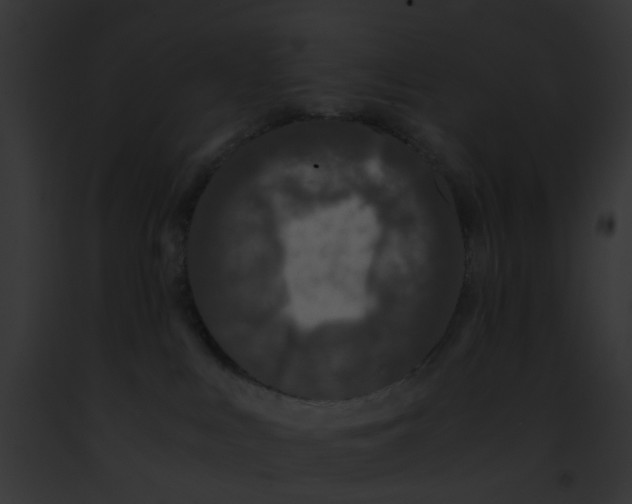 X0000091880043200710031130