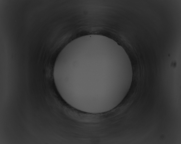 X0000091880044200710031130