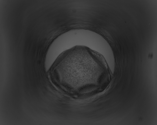 X0000091880045200710031130