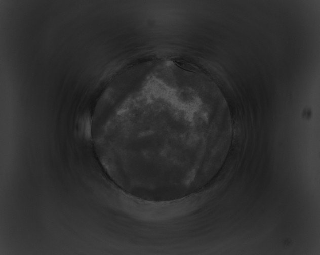 X0000091880046200710031130