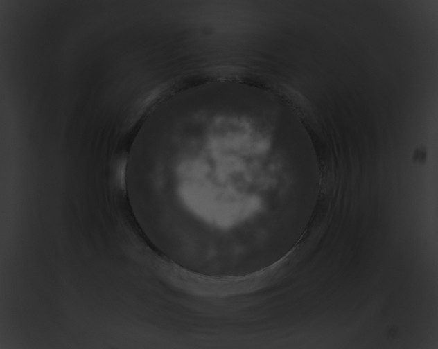 X0000091880047200710031130