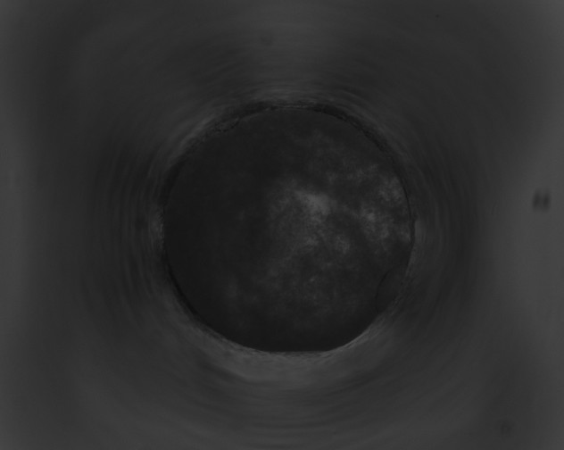 X0000091880048200710031130