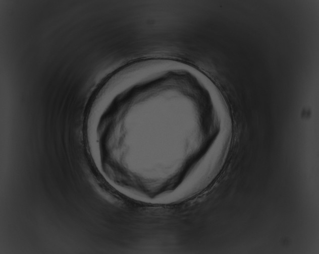 X0000091880050200710031129