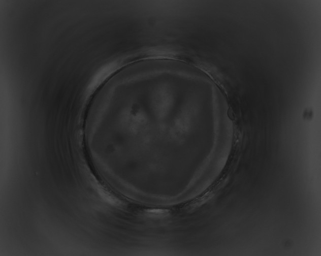 X0000091880053200710031129