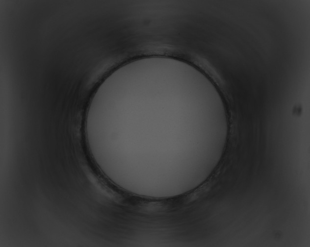 X0000091880058200710031129