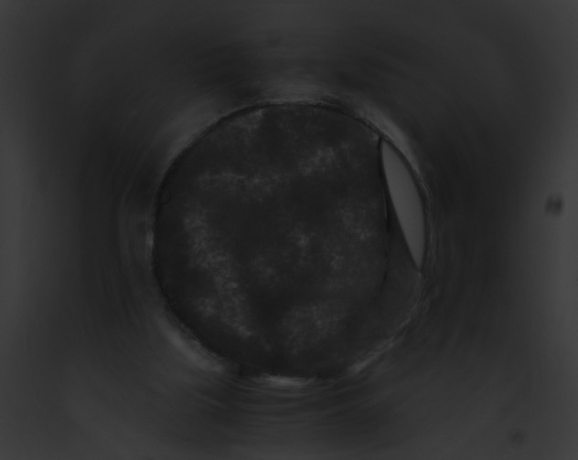 X0000091880059200710031129