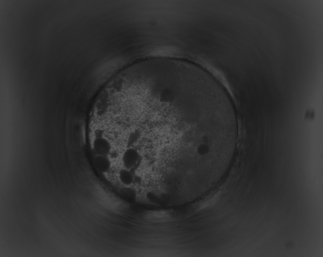 X0000091880061200710031129