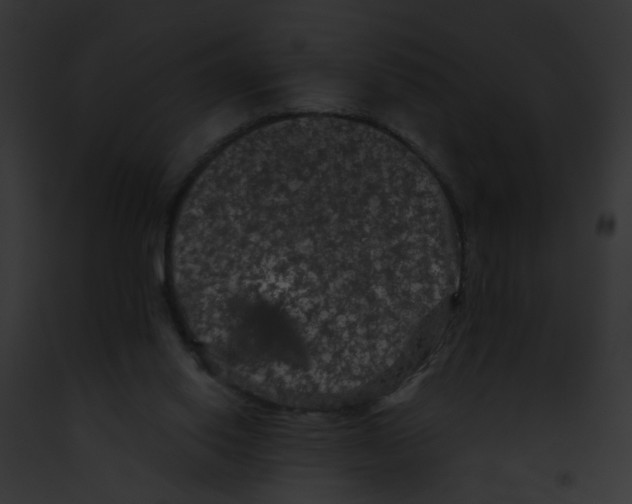 X0000091880062200710031129