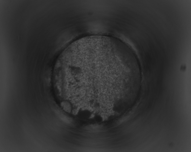 X0000091880065200710031129