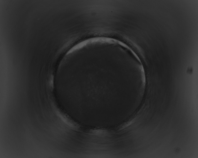 X0000091880067200710031129