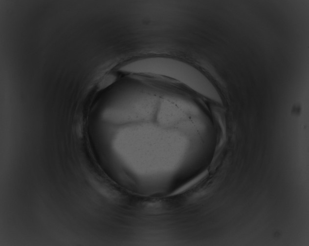 X0000091880068200710031129