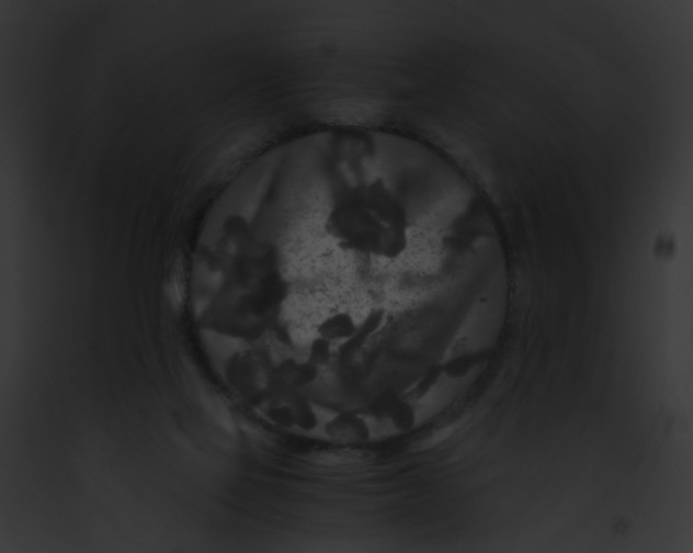 X0000091880069200710031129