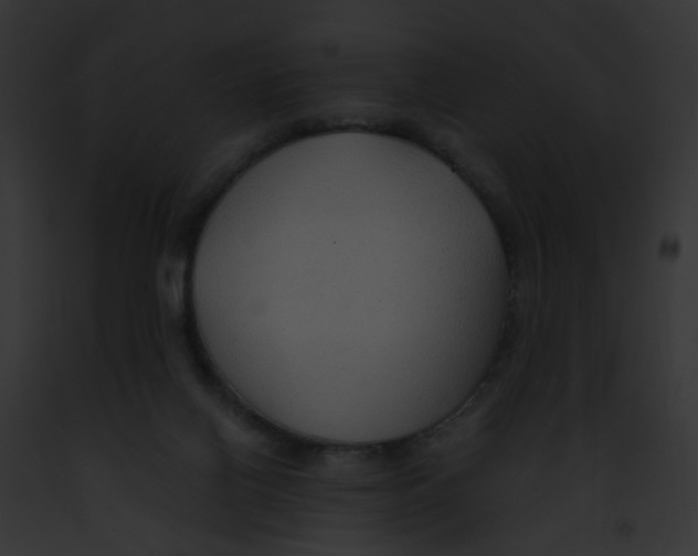 X0000091880070200710031130