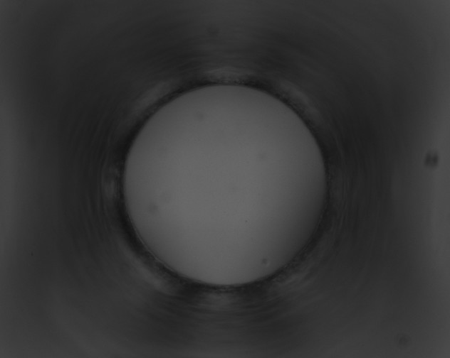 X0000091880071200710031130