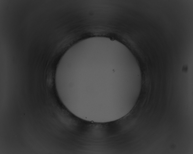 X0000091880074200710031130