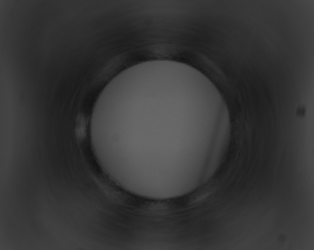 X0000091880075200710031130