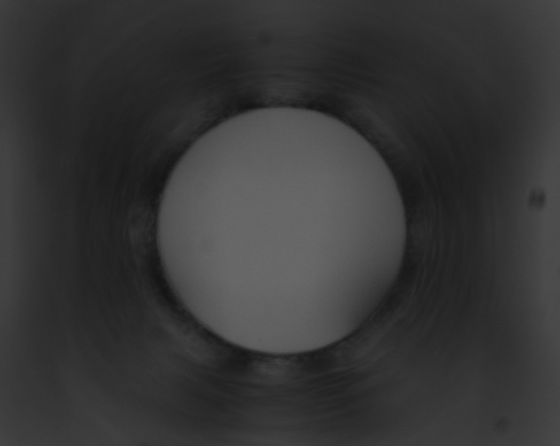 X0000091880079200710031130