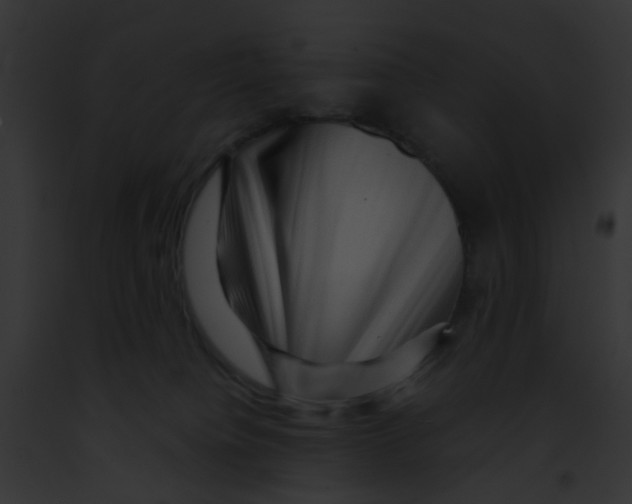 X0000091880084200710031130