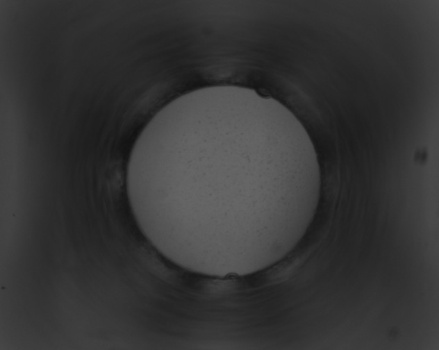 X0000091880085200710031130