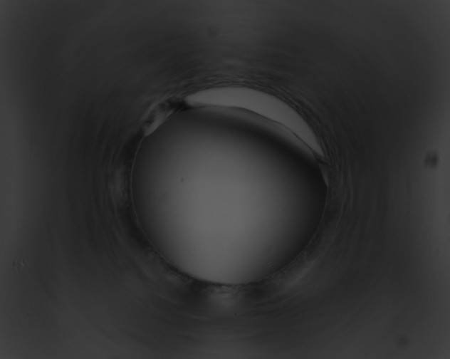 X0000091880088200710031130