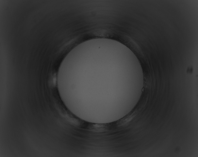 X0000091880095200710031130