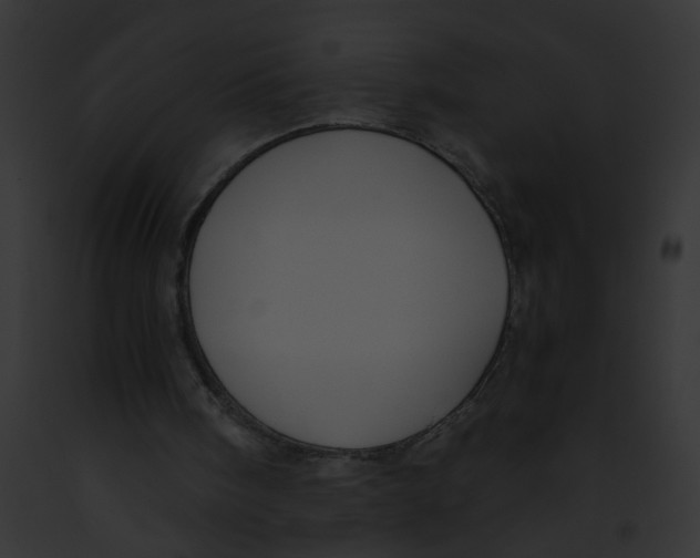 X0000091880098200710031129