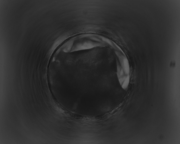 X0000091880099200710031129