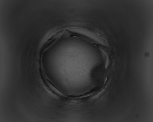 X0000091880101200710031129