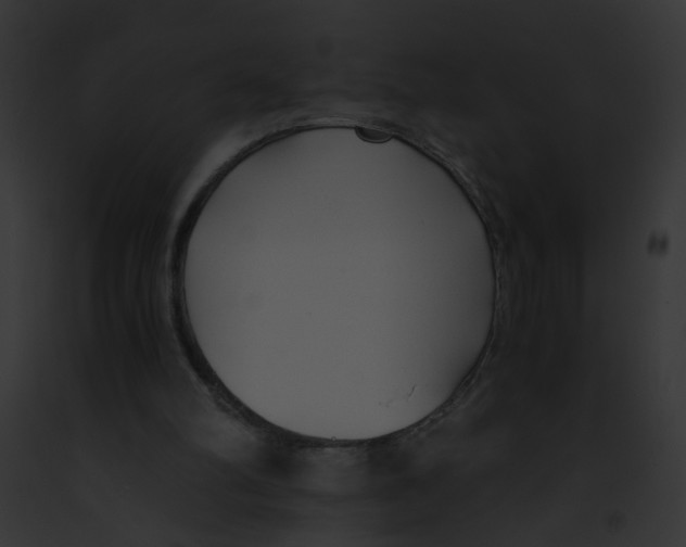 X0000091880102200710031129